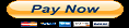 Pay Credit and Background Check